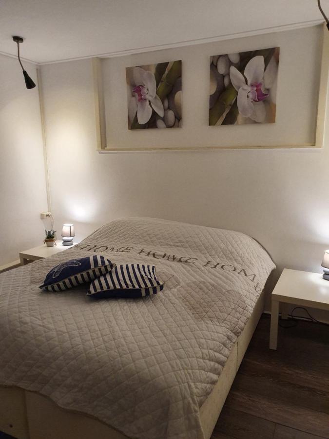Apartments Gasthuisplein 赞德沃特 外观 照片